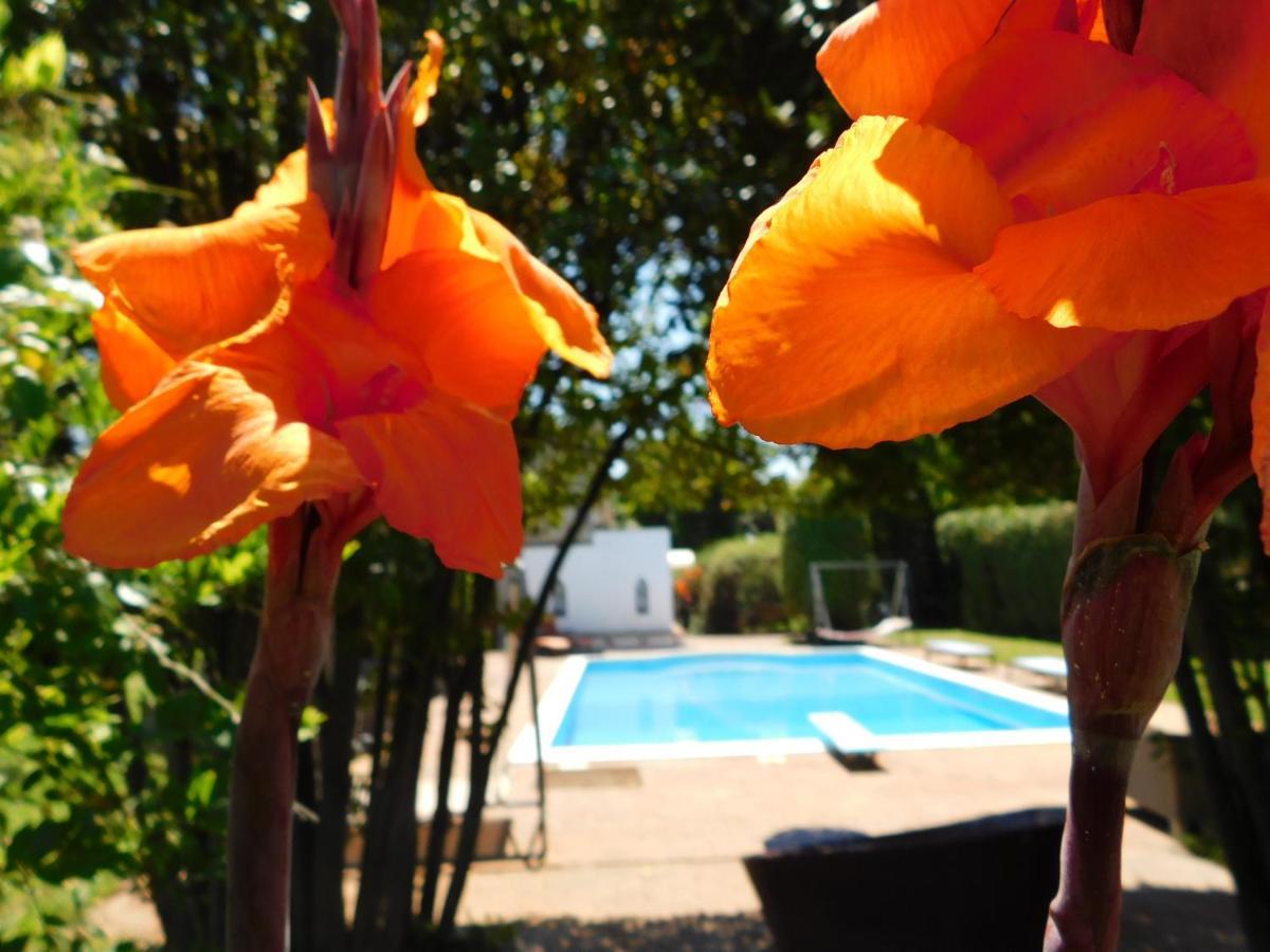 Appartamento Con Piscina Immersa Nel Verde Кашина Экстерьер фото