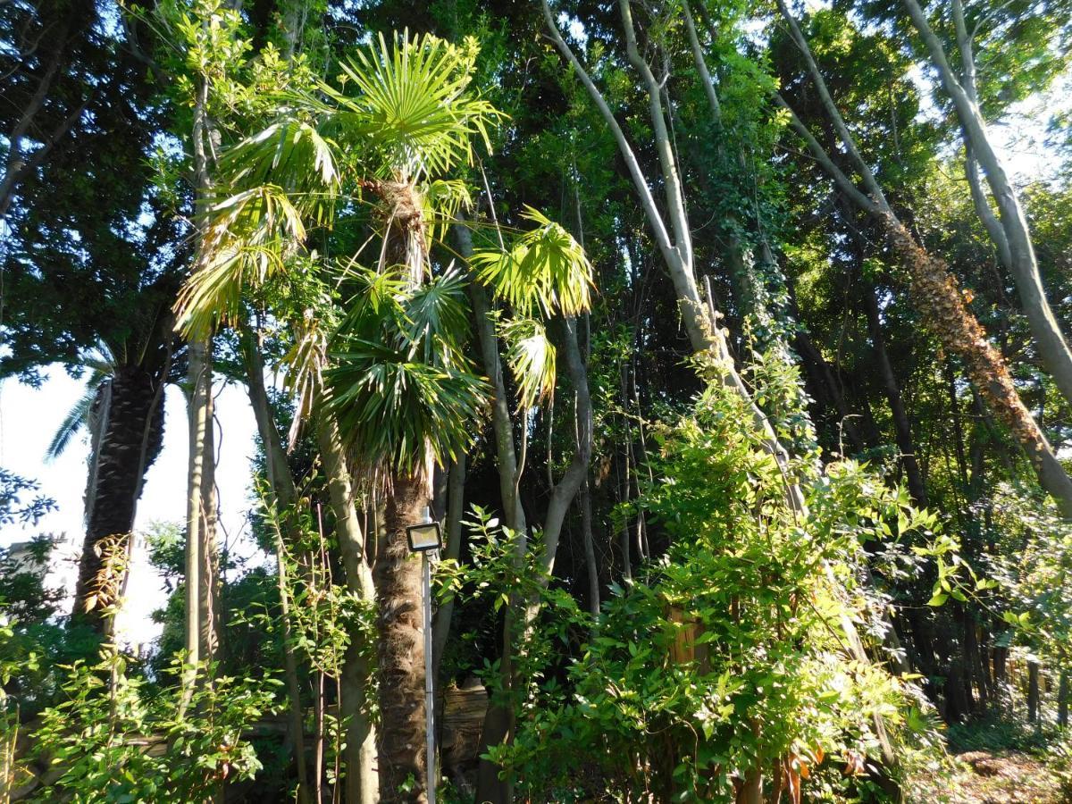 Appartamento Con Piscina Immersa Nel Verde Кашина Экстерьер фото